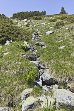 The Fish Lakes, Rila Mountain, Bulgaristan yakınlarındaki manzara