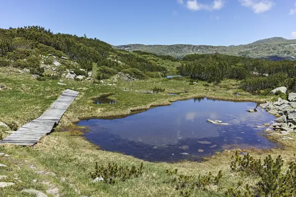 保加利亚里拉山鱼湖附近有小湖泊的夏季景观 — 图库照片