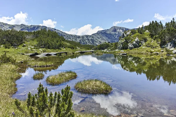 Letni Krajobraz Małymi Jeziorami Pobliżu Jezior Rybnych Góra Riła Bułgaria — Zdjęcie stockowe