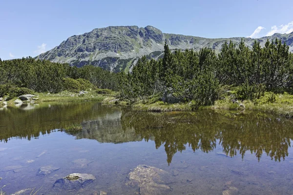 Summer Landscape Small Lakes Fish Lakes Rila Mountain Bulgaria — Stok Foto