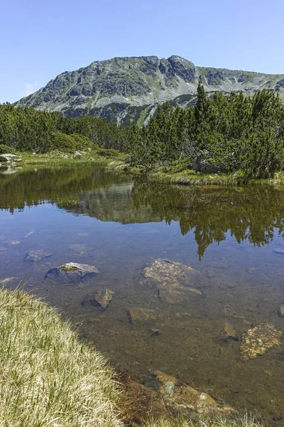 Letní Krajina Malými Jezery Blízkosti Rybích Jezer Rila Hora Bulharsko — Stock fotografie