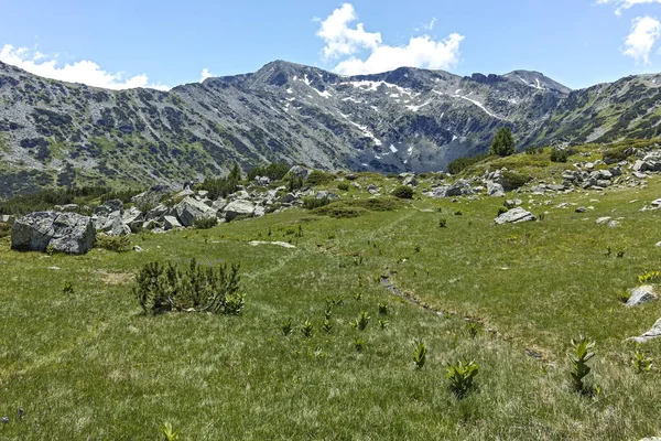 Paisaje Con Cerca Los Lagos Peces Montaña Rila Bulgaria —  Fotos de Stock