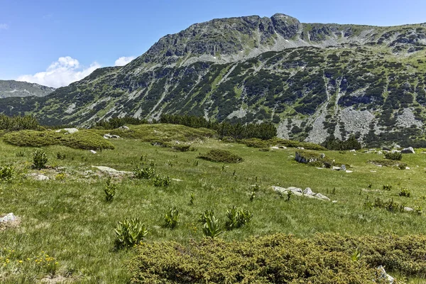 Paisaje Con Cerca Los Lagos Peces Montaña Rila Bulgaria — Foto de Stock