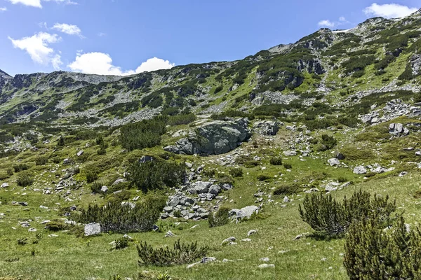 Paisaje Con Cerca Los Lagos Peces Montaña Rila Bulgaria —  Fotos de Stock