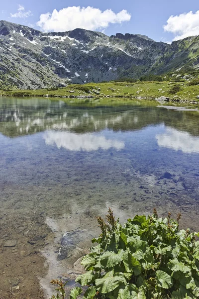 Летний Пейзаж Небольшими Озерами Рядом Рыбными Озерами Гора Рила Болгария — стоковое фото