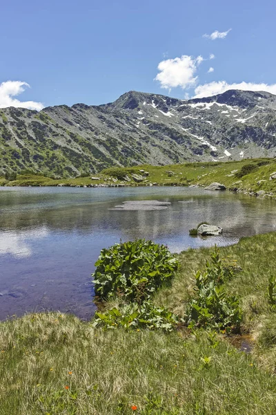 Summer Landscape Small Lakes Fish Lakes Rila Mountain Bulgaria — Stok Foto