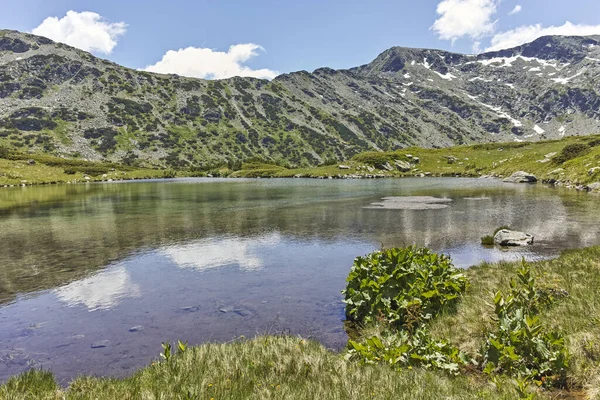 Summer Landscape Small Lakes Fish Lakes Rila Mountain Bulgaria — Stok Foto