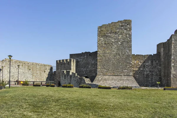 Smederevo Serbia Agosto 2019 Rovine Della Fortezza Smederevo Sulla Costa — Foto Stock