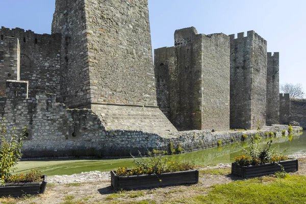 Smederevo Serbia Sierpień 2019 Ruiny Twierdzy Smederevo Wybrzeżu Dunaju Miejscowości — Zdjęcie stockowe