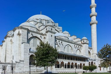 İSTANBUL, TURKEY - 26 Temmuz 2019: İstanbul, Türkiye 'de Süleyman Camii (Osmanlı İmparatorluğu Camii) inşaatı