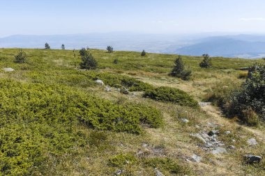 Bulgaristan 'ın Sofya Şehir Bölgesi Vitosha Dağı' nın sonbahar manzarası