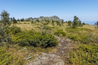 Bulgaristan 'ın Sofya Şehir Bölgesi Vitosha Dağı' nın sonbahar manzarası