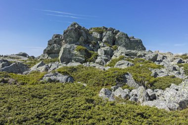 Bulgaristan 'ın Sofya Şehir Bölgesi Vitosha Dağı' nın sonbahar manzarası