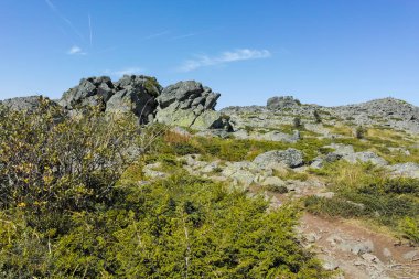 Bulgaristan 'ın Sofya Şehir Bölgesi Vitosha Dağı' nın sonbahar manzarası