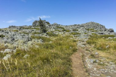 Bulgaristan 'ın Sofya Şehir Bölgesi Vitosha Dağı' nın sonbahar manzarası