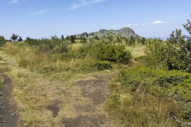 Bulgaristan 'ın Sofya Şehir Bölgesi Vitosha Dağı' nın sonbahar manzarası