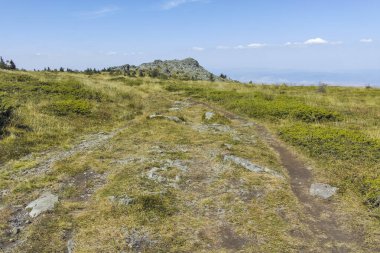 Bulgaristan 'ın Sofya Şehir Bölgesi Vitosha Dağı' nın sonbahar manzarası