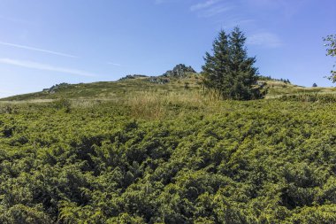 Bulgaristan 'ın Sofya Şehir Bölgesi Vitosha Dağı' nın sonbahar manzarası