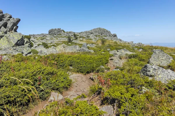 Vista Autunnale Del Monte Vitosha Regione Della Città Sofia Bulgaria — Foto Stock