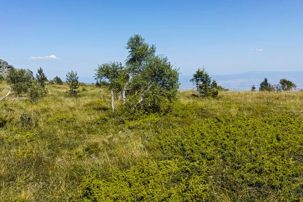 Осінній Вид Гору Вітоша Софійська Міська Область Болгарія — стокове фото