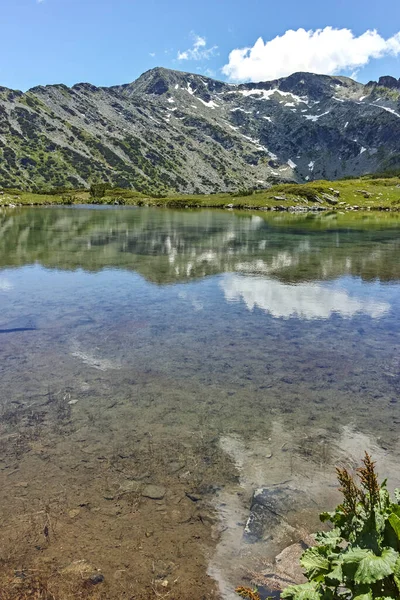 Små Søer Nær Fish Lakes Rila Mountain Bulgarien - Stock-foto