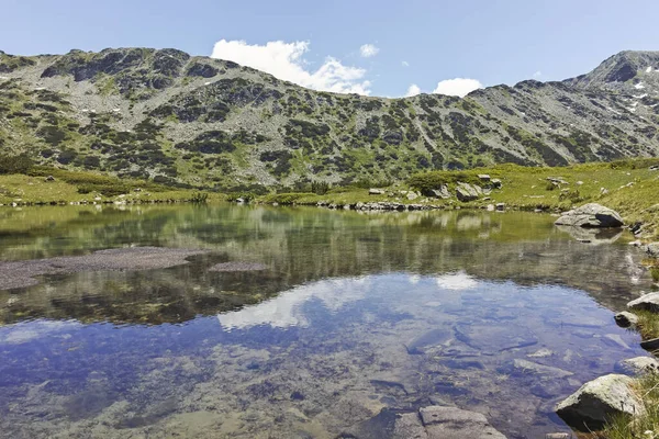 Pequeños Lagos Cerca Los Lagos Peces Montaña Rila Bulgaria —  Fotos de Stock