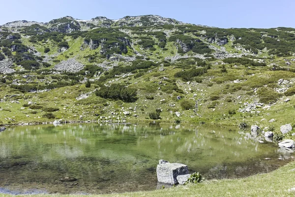 Small Lakes Fish Lakes Rila Mountain Bulgaria — Stock Photo, Image