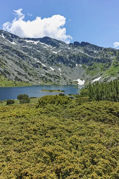 Sommaren Syn Fiskesjöar Ribni Ezera Rila Berg Bulgarien — Stockfoto