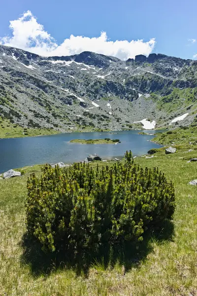 Sommaren Syn Fiskesjöar Ribni Ezera Rila Berg Bulgarien — Stockfoto