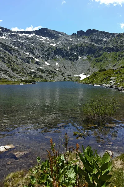 Sommer Ansicht Der Fischseen Ribni Ezera Rila Gebirge Bulgarien — Stockfoto