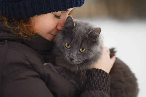 Gatto grigio morbido seduto sulle mani dei proprietari — Foto Stock