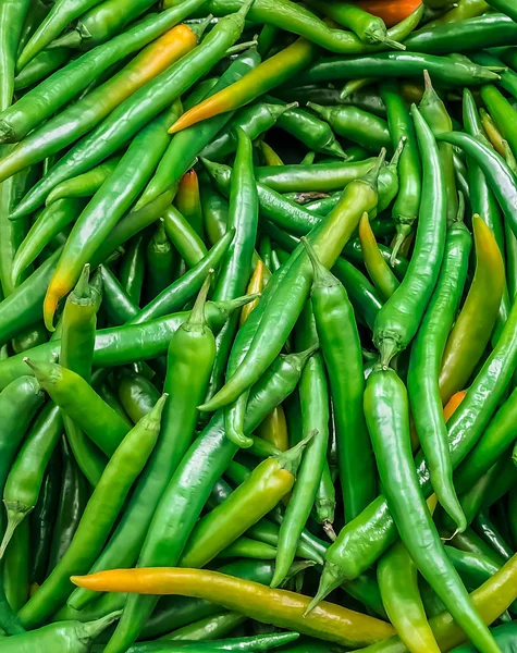 Pfeffer Scharf Brennend Natürlich Verleiht Den Gerichten Geschmack — Stockfoto