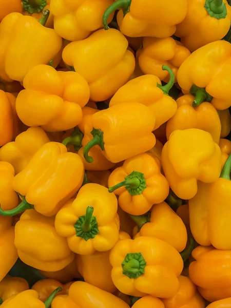 Paprika Süß Lecker Salat Gemüsevielfalt Nützlich — Stockfoto