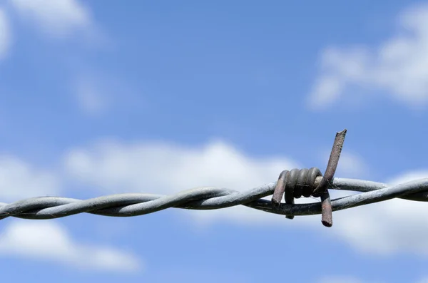 Iron barbed wire — Stock Photo, Image