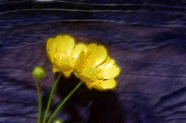 Квітка баклажанів на дерев'яній дошці — стокове фото