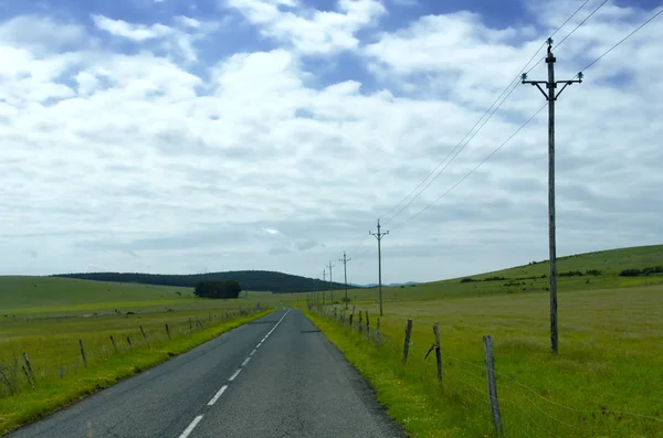 Vägen i grönt fält — Stockfoto