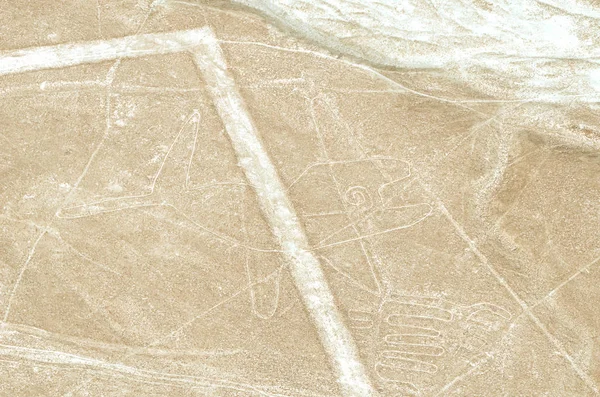 Nazca Lines geoglyphs — Stock Photo, Image