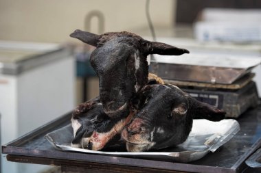 koyun kafasını kesti