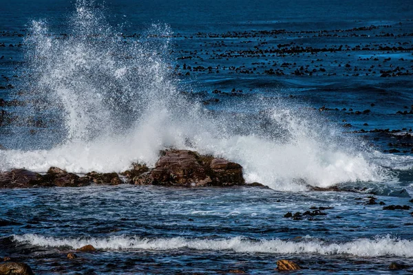 Las olas golpean contra las rocas —  Fotos de Stock