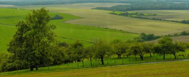 Yeşil çayırlar ve ağaçlar