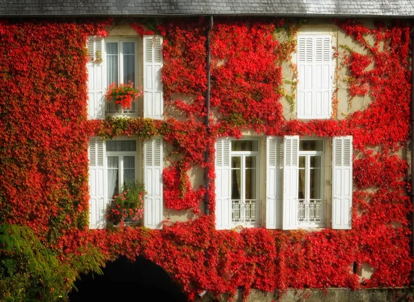 Fall vineyard and frontage — Stock Photo, Image