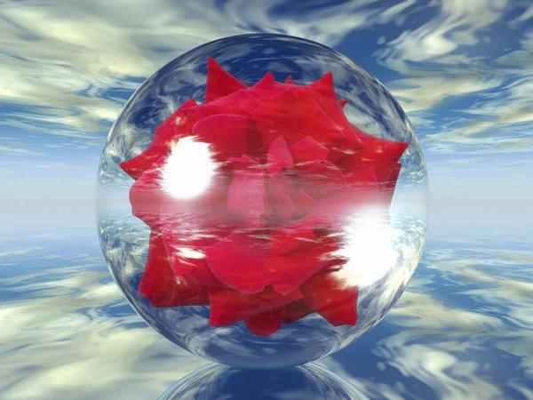 Su balonu içinde kırmızı gül — Stok fotoğraf