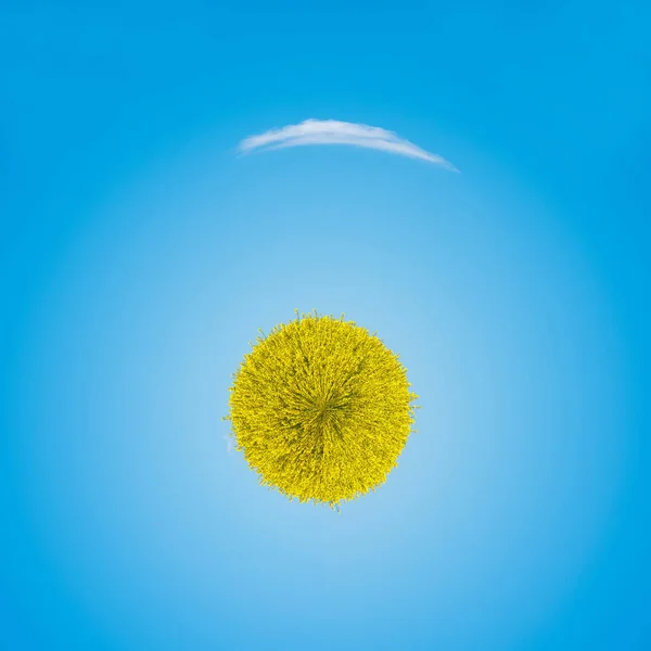 Планета Круглий Вид Жовте Поле Під Блакитним Хмарним Небом — стокове фото