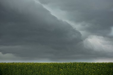 tecavüz alanları ve bulutlar