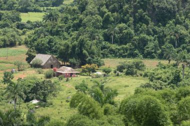 mogotes güneşli gün Vinales Küba'da 