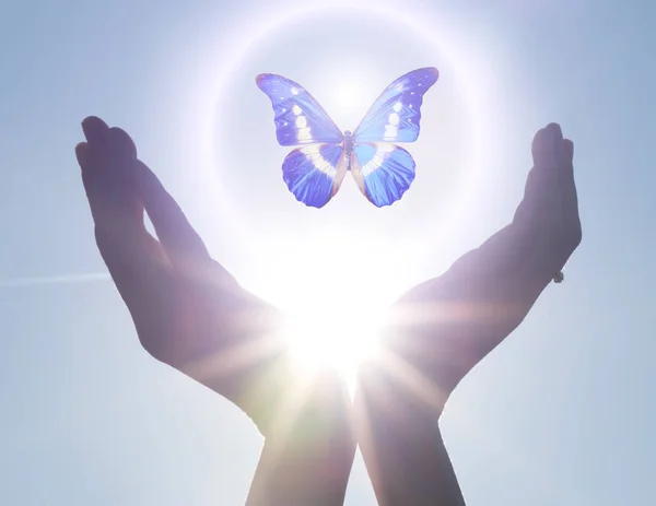 Manos Sosteniendo Luces Mariposa Sol — Foto de Stock
