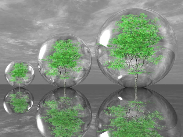 Three Green Trees Transparent Bubble — Stock Photo, Image