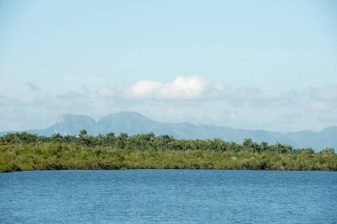 Karayip Denizi güzel manzara