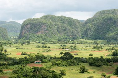 Vinales Küba'da mogotes görünümünü
