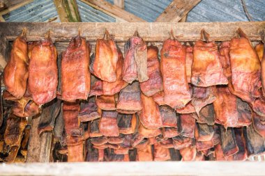 İzlanda 'daki Köpekbalığı Müzesi